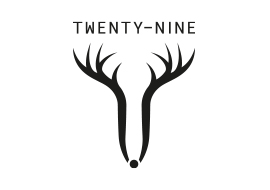 Twenty-nine srl logo